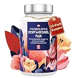 Stoffwechsel 10-fach Komplex Hochdosiert mit L-Carnitin Grünem Tee Cholin wilder indischer Spargel Bittermelone Garcinia Cambogia & Chrom Apfelessig Kapseln in Deutschland produziert