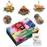 YC Yang Chai Teeblumen Mix 'Admira' - 6 Erblühtee Grüner Tee in edler Magnetbox zum Probieren - 5 verschiedene Sorten - XXL Teeblume, Blooming Tea - Geschenk für Frauen, Mutter, Teeliebhaber