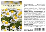 Seedeo® Römische Kamille (Anthemis nobilis) 500 Samen