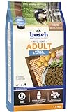 bosch HPC Adult mit Fisch & Kartoffel | Hundetrockenfutter für ausgewachsene Hunde aller Rassen | 1 x 15 kg