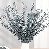 20 Stück Eukalyptus Getrocknet 43cm Natürliche Trockenblumen Eukalyptus kann Konserviert Frische Eukalyptus-Zweige für Hochzeit、Blumen Arrangements Heim Décor (Blue)