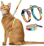 Katzengeschirr und Leine zum Spazierengehen, in vier Richtungen verstellbar, atmungsaktives Katzengeschirr gegen Flucht, das angepasst und positioniert werden kann (Yellowstone-Nationalpark)