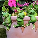 ACAREY 3 Stück Hängende Frösche Für Teichschale Garten Balkon Terrassenteich Blumentopf Aus Edelstahl Gartenteich Zinkwanne Terrassen Miniteich-Set Mit Aufhängung