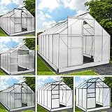 BRAST® Gewächshaus Aluminium mit Fundament | 40 Modelle | 130x190x195cm - 490x250x235cm | TÜV geprüft | 6mm Hohlkammerplatten | rostfrei wetterfest temperaturbeständig | 250x190x195cm Silber
