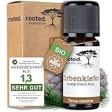 rooted.® BIO Zirbenöl 10ml [100% NATURREIN] - Echter Tiroler Zirbelkiefer - Pinus cembra - Ätherisches Zirbenkieferöl für Aromatherapie, Duftlampe, Diffusoren, Raumduft, Duftkerzen und -Seifen
