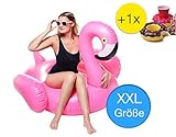 Aufblasbares Flamingo Schwimmtier XXL Schwimminsel Luftmatratze Badeinsel für Wasser, Pool, Strand wie Schwan, Einhorn für Kinder und Erwachsene mit 1x aufblasberer Getränkehalter Donut für Flaschen