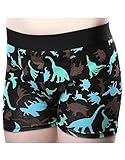 DRY & COOL Tages-Inkontinenzslip für Jungen Unterwäsche Waschbar Absorbierende Einlage Dino, Schwarz/Grün/Blau, 122-128 cm (7-8 Jahre)