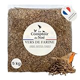 Französische getrocknete Mehlwürmer, 5 kg (32,5 l), 100 % natürlich, Insekten, reich an Proteinen und guten Fetten, Futter für Wildvögel und Schildkröten, Mehlwürmer am Comptoir de Noah