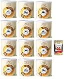 Alce Nero Orzo solubile, Classico Instant lösliche Gerste Getreidekaffee kaffee, 12x 125g + Italian Gourmet polpa 400g