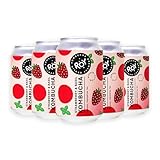 ROY Strawberry & Basil Kombucha Bio, 12 Dosen à 330 ml Bio Kombucha mit Erdbeer-Basilikumgeschmack, handgefertigt in Berliner Brauerei, vegan, glutenfrei, laktosefrei, 12er Pack, inkl. 3,00 € Pfand