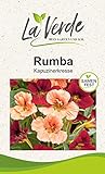 Kapuzinerkresse Rumba Blumensamen
