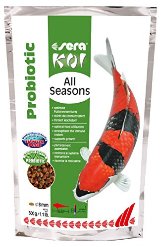 sera Koi All Seasons Probiotic 0,5 kg - Mit Bacillus subtilis für gesunde, starke Koi