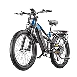 BURCHDA E Bike elektrofahrräder Herren Damen, Ebike 48V 20Ah(960Wh) Akku bis 150km, 26x3.0 Zoll Electric Bike 7-Gang Getriebe mit LCD-Display,Vollfederung E Fahrrad 250W Motor 80 N.m PE86
