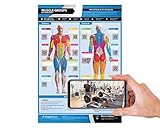 Muskelgruppen und Übungen, laminiertes Poster für Zuhause und Fitnessstudio, kostenlose Online-Video-Trainingsunterstützung, Größe: 594 mm x 420 mm (A2), verbessert die persönliche Fitness