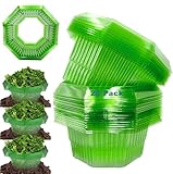 Sunshine smile 20 Stück Schneckenkragen,schneckenkragen aus Plastik,Schneckenschutz,Schneckenschutzringe,Schneckenring Garten Effektiver Schneckenschutz für Ihre Salatpflanzen Hängende Tomaten