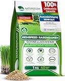 Rasensamen schnellkeimend Frühjahr 1kg 40qm - TEST SEHR GUT - Schnell wachsende Rasen Nachsaat Made in Germany - Premium Grassamen schnellkeimend - Rasensaat für sattgrünen Traumrasen