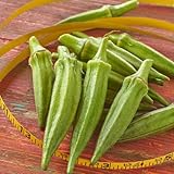 250 Pcs Okra Samen Bio, Okraschoten Hochbeete Für Garten, Wintergemüse Pflanzen Kaufen, Zimmerpflanzen Samen, Gemüsesamen Balkon Nachhaltige Geschenke, Alte