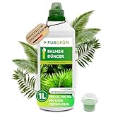 Purgrün® Palmendünger 1 Liter – Schnelles Wachstum dank extra Stickstoff – Guano für kräftige Palmwedel – Vollspektrum-Nährstoffe – Konzentrat für ca 400 Liter Gießwasser – Premium-Flüssigdünger