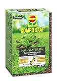 Compo Saat Nachsaat-Rasen 500g