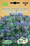 Germisem Borretsch BORAGO OFFICINALIS, ECBIO1125