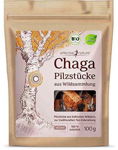 Chaga Pilz Brocken Bio - 100g - Aus Birken - Aus Wildsammlung - Für Chaga Tee in Bio-Qualität - Aus Estland