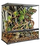 Exo Terra Terrarium aus Glas, mit einzigartiger Front Belüftung, 90 x 45 x 90cm, auch als Paludarium nutzbar