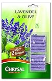 Chrysal Lavendel & Olive Düngestäbchen 20 Stück