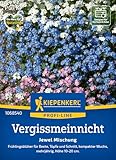 Kiepenkerl Profi-Line Vergissmeinnichtsamen Jewel Mix 1068540 - Frühlingsblüher für Beete, Töpfe und Schnitt - circa 10-20cm hoch - Wildblumensamen, Blumenwiese