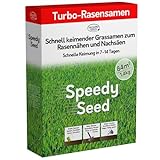 Pronto Seed Rasensamen – 1,4 kg Premium-Qualität, 84 m2 Abdeckung für Nachsaat – schnell wachsende und strapazierfähige Grassamen – auf DE-Klima zugeschnitten – Defra-zugelassen