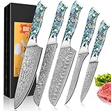 Home Safety 5STK Damastmesser Set mit 12.4-20cm Klinge aus 67 Lagen VG-10 Damaststahl Küchenmesser Set Damast Fleischmesser, Abalone-Muschel Griff, Geschenkbox