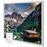 Hocosyme Infrarotheizung Bild 300 Watt, Infrarotheizung Wandmontage mit Thermostat, Wochentimer - Elektroheizung mit Überhitzungsschutz - TÜV - Lake.
