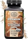 Spermidin -3mg je Kapsel- WICHTIG: Weizenkeimextrakt Hochdosiert MIT 5% Polyamin & 3mg Spermidin pro Kapsel I Laborgeprüft I 120 Spermidin Kapseln Hochdosiert -DE- SCHEUNENGUT®