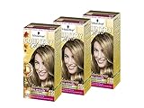 SCHWARZKOPF COUNTRY COLORS Intensiv-Tönung, Haarfarbe 40 Nevada Dunkelblond, Stufe 2, 3er Pack (3 x 123 ml)