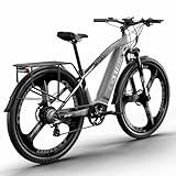 cysum CM520 Elektrofahrrad 29'' E-Mountainbike für Erwachsene, E-Bike mit 48v 14ah Lithium Batterie, hydraulische Scheibenbremse (grau)