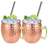 Hossejoy Moscow Mule Becher Umfasst 2 x Kupferbecher 550ML & 2 Trinkhalme – Großartig für Cocktail Gekühlte Getränk – 100% Kupferzubehör Liebhaber