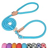 Grand Line Retrieverleine mit Zugstopp, 150 cm Moxonleine Reflektierende Hundeleine, Sicher Dauerhafte Trainingsleine Moxonleine für Kleine Mittlere und Große Hunde - 14mm, Blau