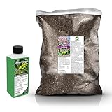 Umtopf - Set für Olivenbäume (Olea) - bestehend aus 10 Liter Spezial - Substrat und darauf abgestimmten Flüssigdünger NPK Volldünger (für Olivenbaum)
