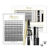 Wimpern Cluster, QUEWEL 144 Pcs DIY Wimpern Extensions Kit, Applicator Tool, Super Hold Bindung und Dichtung, (QU-H-DH-02)