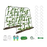 Gurken Rankgitter Für Den Garten | Gemüse Rankgitter Für Kletterpflanzen,Wetterfeste Stabile Rankbogen Für Tomaten Trauben Erbsen Und Balkon Garten