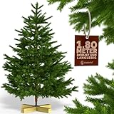 CASARIA® Weihnachtsbaum Premium künstlich XL 180x110cm Christbaumständer Holz naturgetreu dichte Zweige Spritzguss PVC Mix Weihnachten Tannenbaum Grün