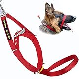 Canny Collar Halsband für Hunde, einfache und effektive Hilfe beim Hundetraining und verhindert das Ziehen von Hunden - Rot