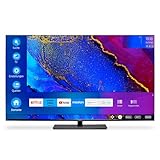 MEDION X16517 (MD 30723) 163,9 cm (65 Zoll) Fernseher (Smart TV, 4K Ultra HD, Dolby Vision HDR, Dolby Atmos, Netflix, Prime Video, MEMC, Micro Dimming, Bluetooth, PVR)