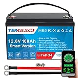 Tekvision Lithium LiFePO4 Akku 12V 100Ah Versorgung Batterie mit BMS Wohnmobil Boot Solaranlage Wohnwagen Solar Haushalt(12V 100Ah Smart)