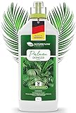 Palmendünger Flüssig - Biologischer Spezial Dünger Für Palme - 1 L Ökologischer Vinasse Palmen Dünger - Für gesundes, kräftiges Pflanzenwachstum - Bio-Anbau zulässig