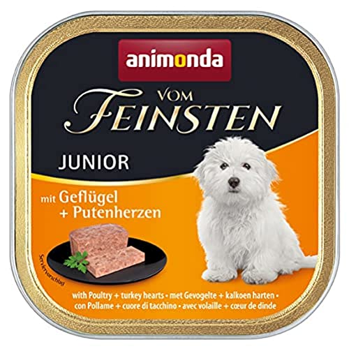 animonda Vom Feinsten Junior Hundefutter, Nassfutter für Hunde im Wachstum, mit Geflügel + Putenherzen, 22 x 150 g