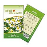 Kamille Echte Samen - Matricaria recutita - Kamillesamen - Kräutersamen - Blumensamen - Saatgut für 150 Pflanzen
