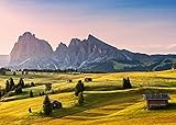 Ravensburger Puzzle 1000 Teile - Seiser ALM, Dolomiten, Südtirol - Puzzle für Erwachsene und Kinder ab 14 Jahren, [Exklusiv bei Amazon]