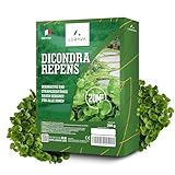 LERAVA® Klee samen dichondra [Kein Mähen erforderlich] - 20m² - Extreme Trockenbeständigkeit - Dichondra repens samen ideal für schattige und sonnige Bereiche - Mikroklee samen rasen - 200g