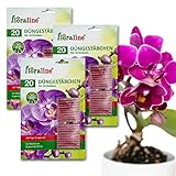 floraline® | 60x Orchideen - Düngestäbchen | Orchideen Dünger für bis zu 100 Tage (pro Stäbchen) prächtige Blumen mit Wachstum und gesunden Blüten | Schonende Anwendung