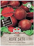 82460 Sperli Premium Rote Beete Samen Rote Kugel 2 | Raschwüchsige Frühe Sorte | tief dunkelrote Beete | Rote Bete Saatgut | Rote Bete Samen | ca. 100 Samen